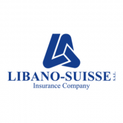 Oracle Junior Developer