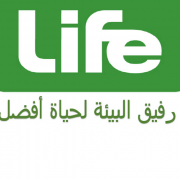Sales Manager