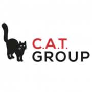 Internal Audit Associate