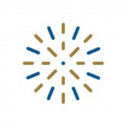 IT Systems & Digitalization Specialist