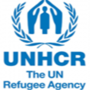 Assistant Field Officer