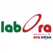 Business administration & HR Intern